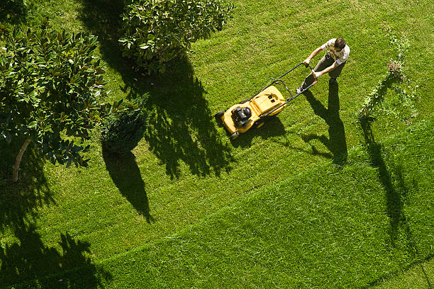 Best lawn service katy