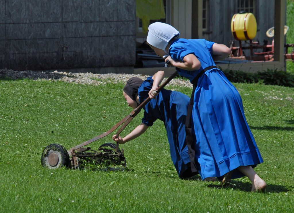 Learning Real Lawn Care