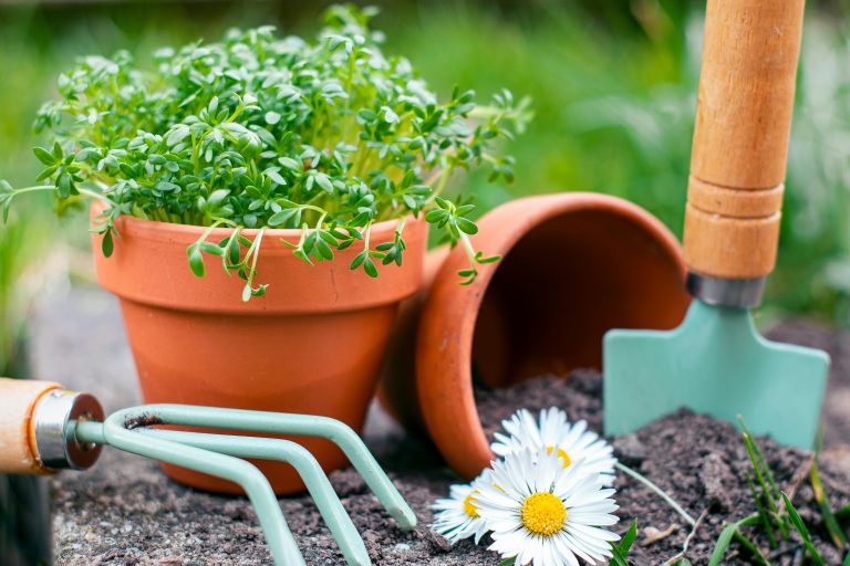 garden maintenance