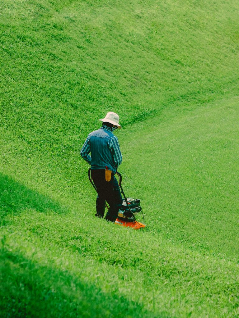 Maintaining Gorgeous Lawn