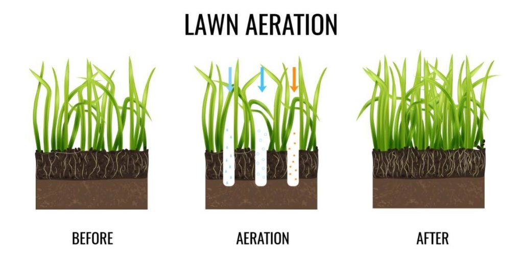 Give your lawn room to breathe – aerate for greener, healthier grass!