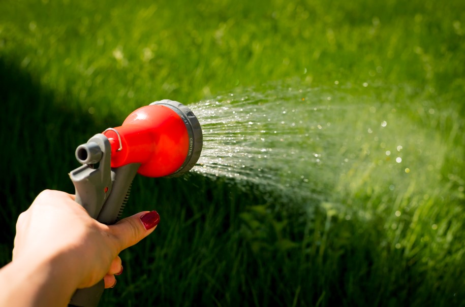 Quench Your Lawn Right! Discover the best time to water your lawn in Katy, TX for a greener, healthier yard.