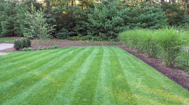 What Are the Best Tips for Spring Lawn Care in Katy, TX?