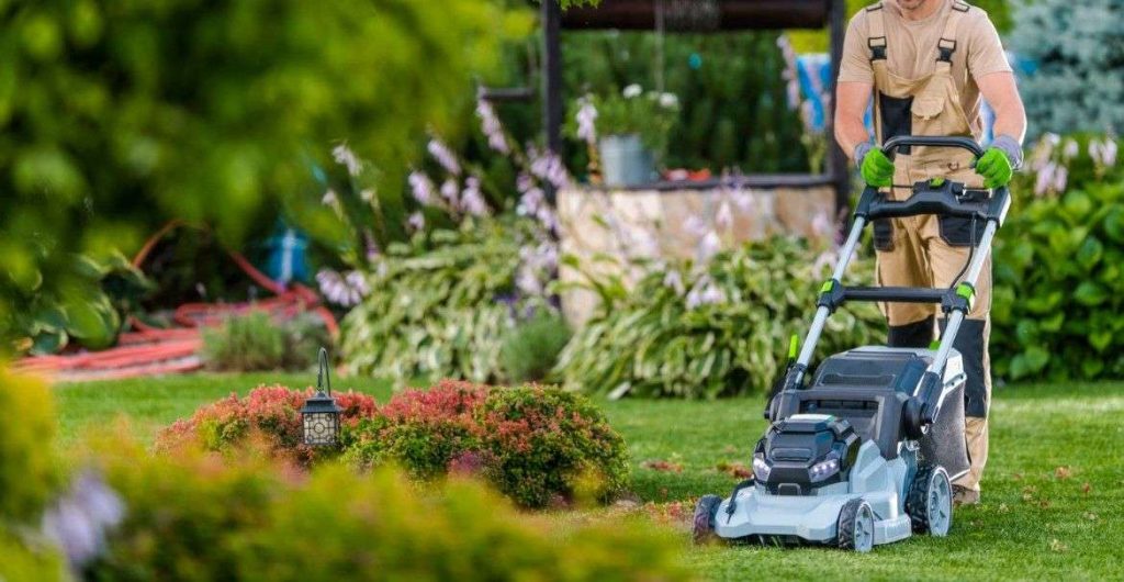 Your Dream Lawn Starts with the Right Choice.