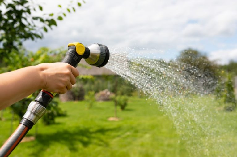 Lawn Watering Tips for Katy, TX: Best Practices for Healthy Grass and Efficient Watering