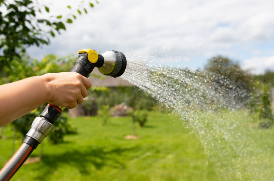 Don’t Drown Your Lawn! 💧 Avoid These Common Watering Mistakes for a Greener, Healthier Yard 🌿