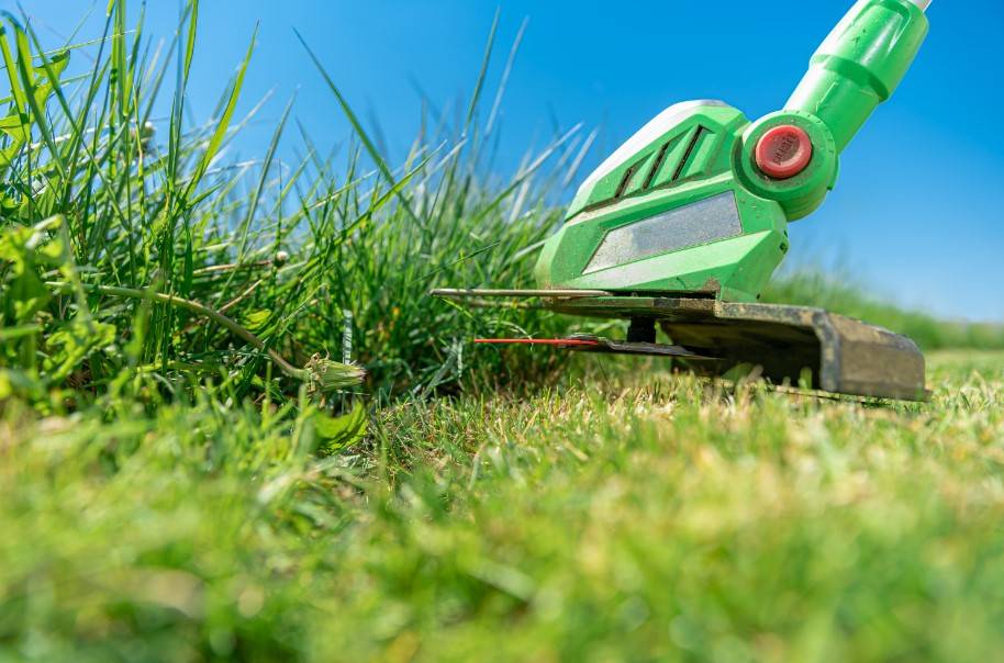 Short grass, less mowing—more time to enjoy your lawn!