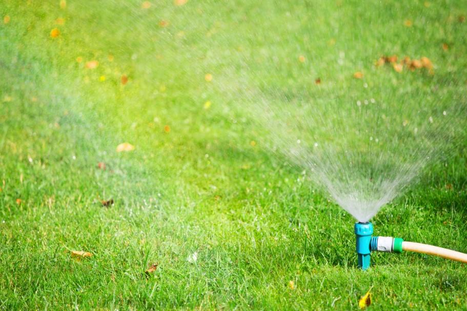 Keep Your Katy Lawn Lush: Master the Art of Smart Watering