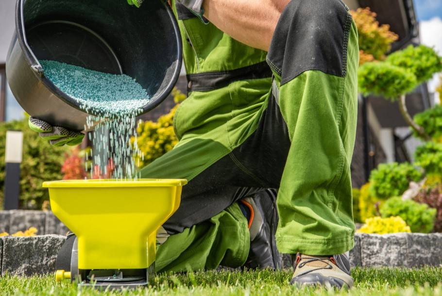 Feed Your Lawn, Fuel Its Lush Green Glow.