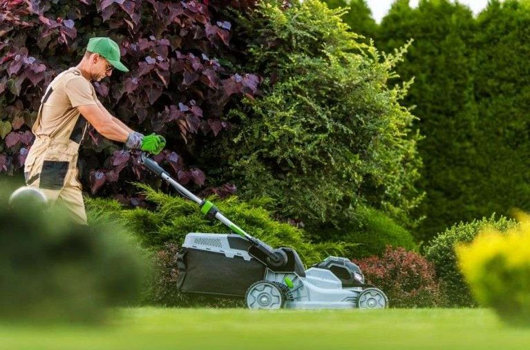 Why Should You Hire a Lawn Care Company Instead of Doing It Yourself?