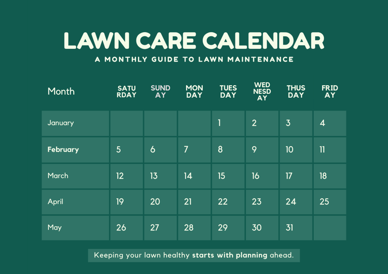 Lawn Care Calendar for Katy, TX: What to Do Each Month