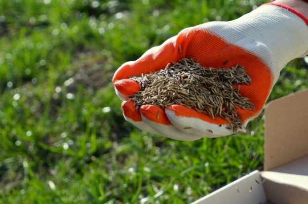 Why Lawn Fertilization is Key for a Healthy Lawn in Katy, TX