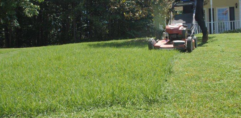 Achieve a pristine lawn with a perfect Bermuda grass mow!