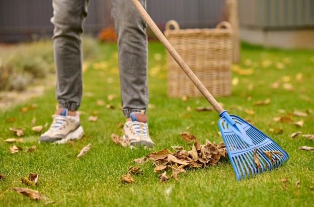 Revitalize your lawn this spring with expert care for a lush, green yard all season long!