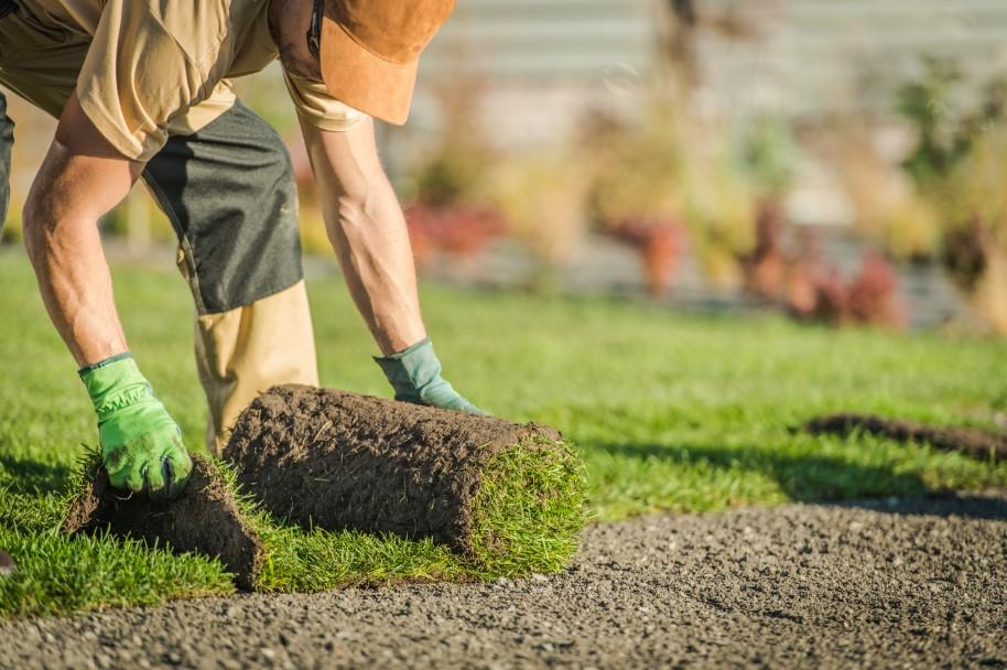 Fresh Sod Installation in Katy – Transform your lawn into a lush paradise!