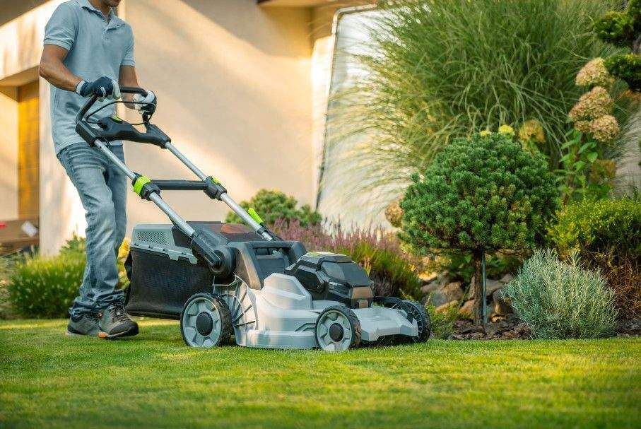 Lush, Green & Ready for Spring 🌿 | Expert Lawn Care in Katy, TX!