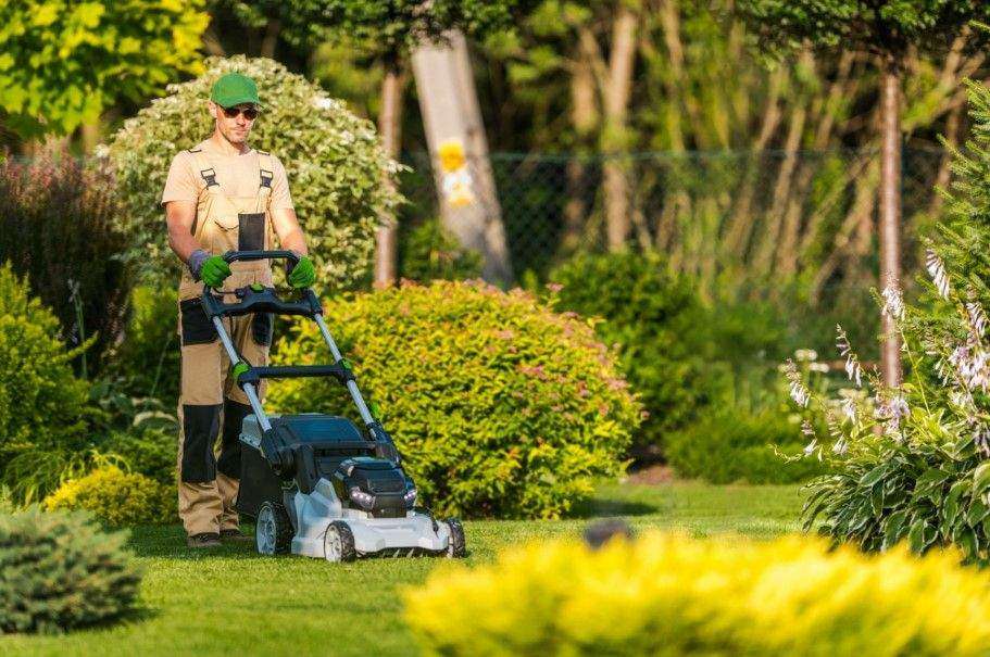 Lush & Green All Summer Long 🌿 | Expert Lawn Care in Katy, TX.