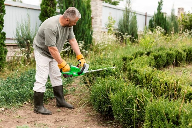 Keep your lawn healthy and weed-free with expert maintenance