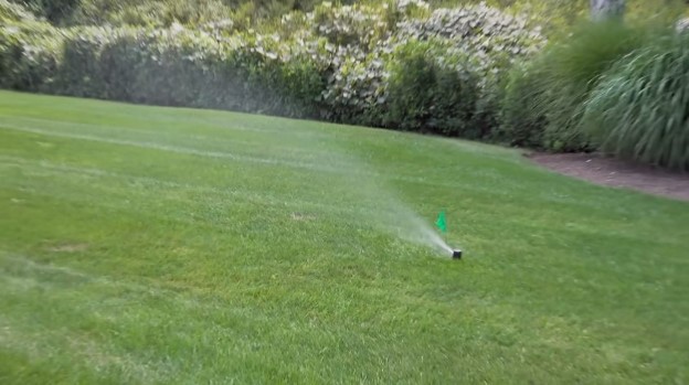 Keep your St. Augustine grass lush and healthy with the right watering routine!